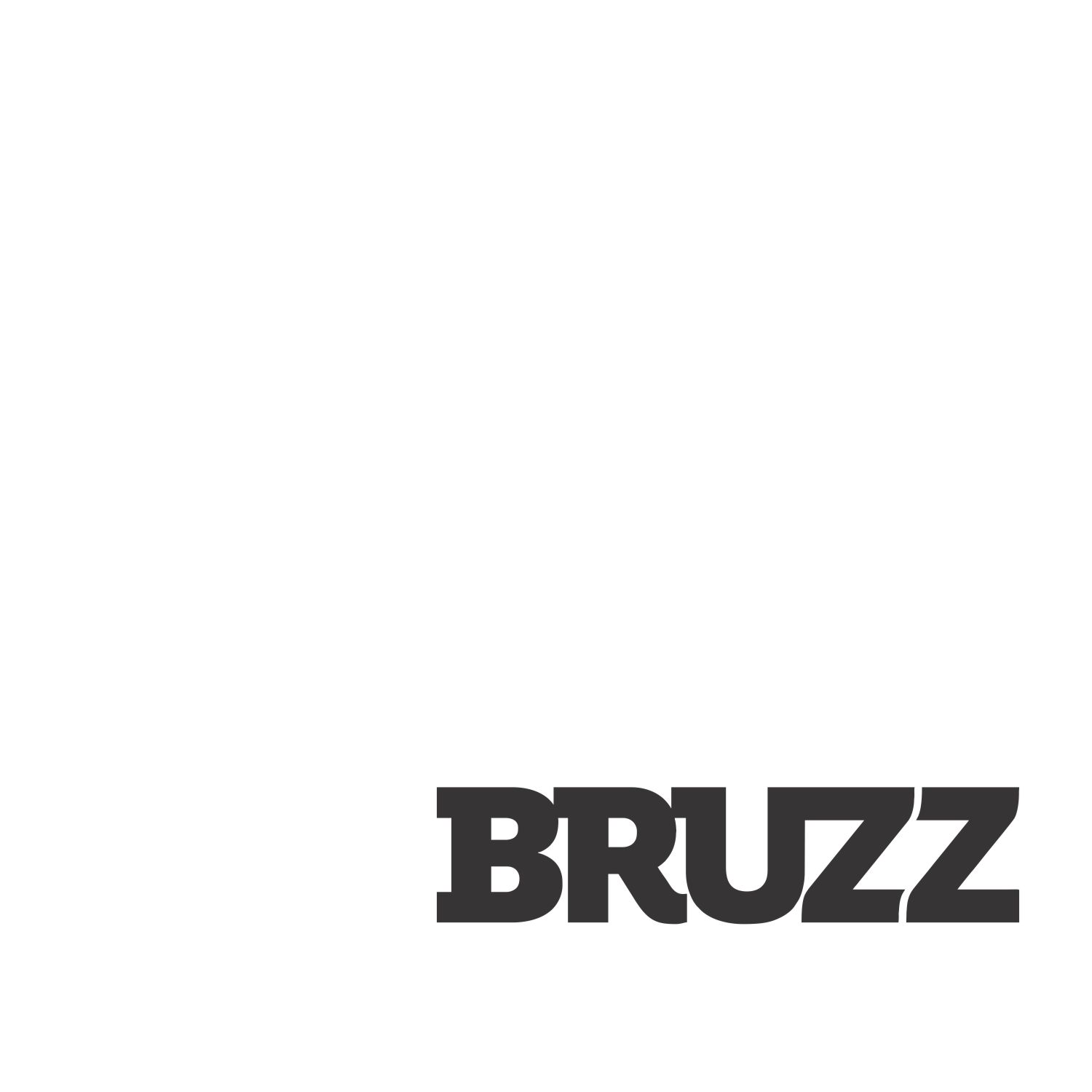 Logo BRUZZ